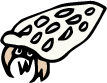 とんがり子